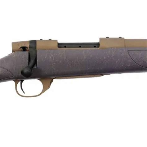 And you can buy one with a bore-sighted 3-9X Bushnell scope, a sling and a plastic gun case as a package. . Weatherby vanguard accessories